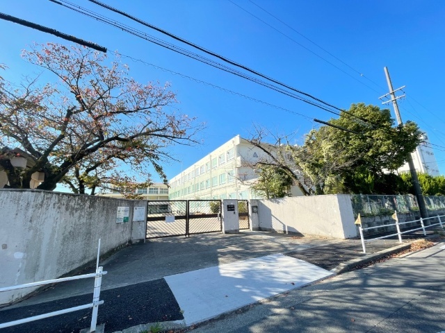 小学校　名古屋市立八社小学校（小学校）まで261m