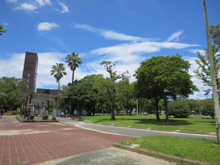 公園　須崎公園（公園）まで300m