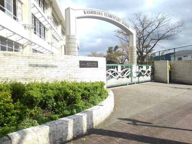 小学校　福岡市立柏原小学校（小学校）まで700m