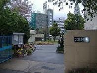 小学校　市立美野島小学校（小学校）まで260m