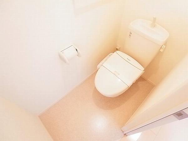 ラフォーレ上ノ台Bのトイレ写真