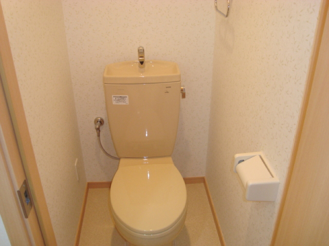 ＪＲ東海道本線 栗東駅 徒歩34分 2階建 築17年のトイレ写真