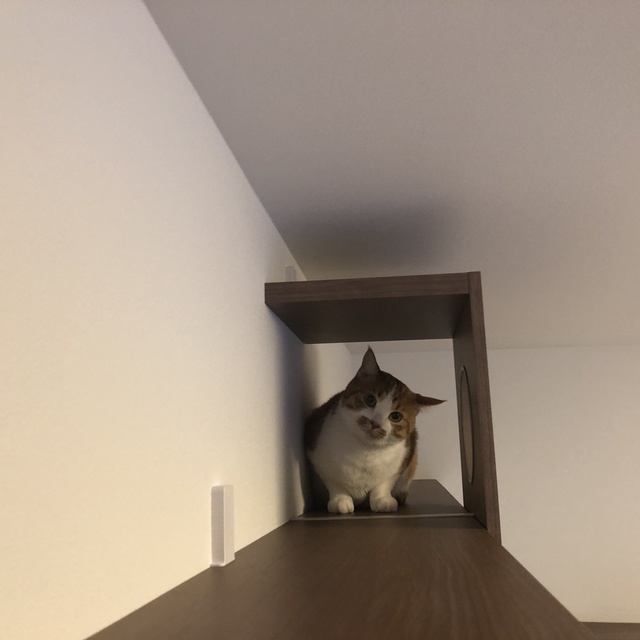その他　※写真は同タイプ住戸です。