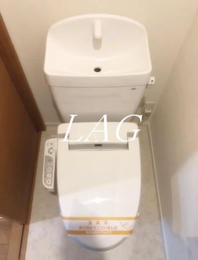 GRANT HOMESのトイレ写真