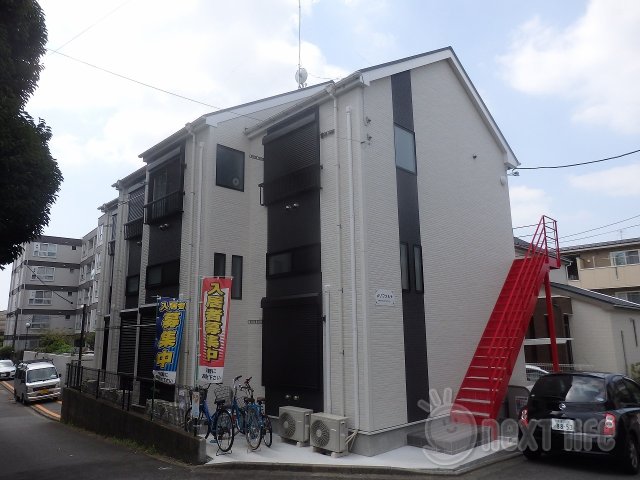 メゾフォルテ