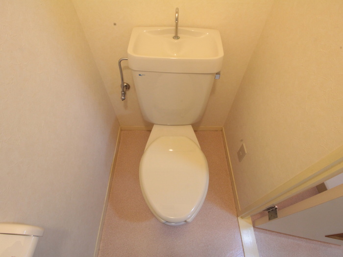 シャト-サンハイムのトイレ写真