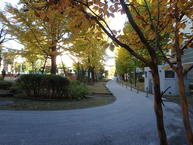 URいちょう並木国立の外観写真