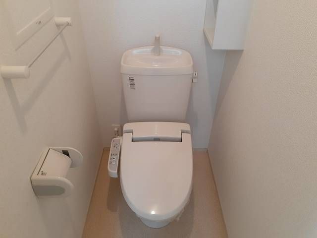 サニー レジデンスS IIのトイレ写真