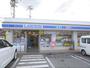 コンビニ　ローソン長浜平方店（コンビニ）まで1000m