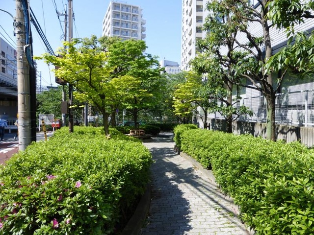 公園　亀の甲緑地（公園）まで686m