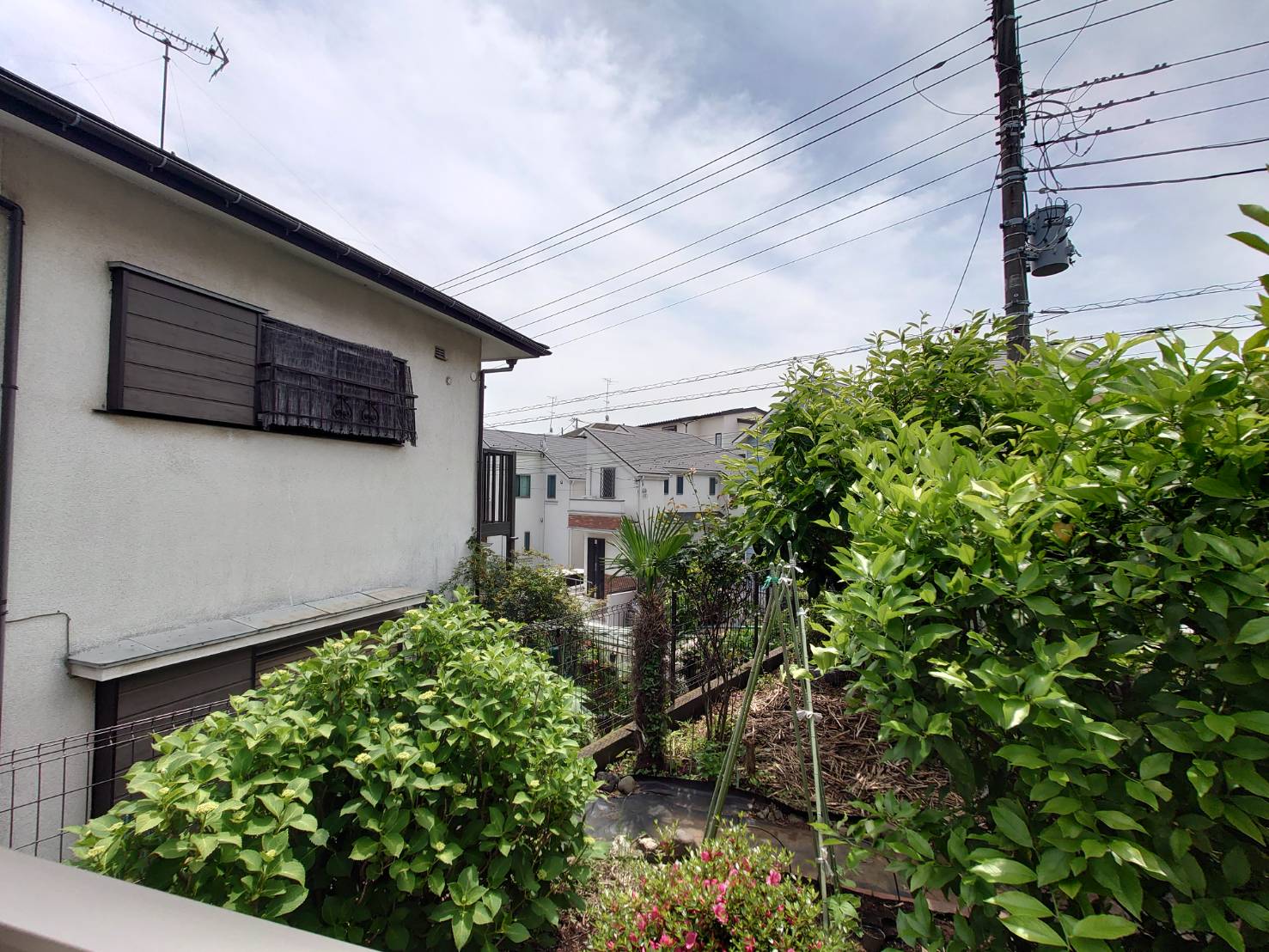 眺望　目の前が庭で空が見えております。