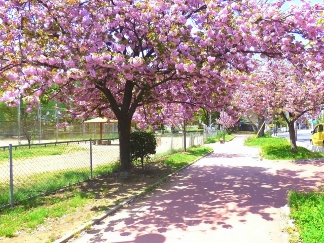 【平野ハイツの公園】