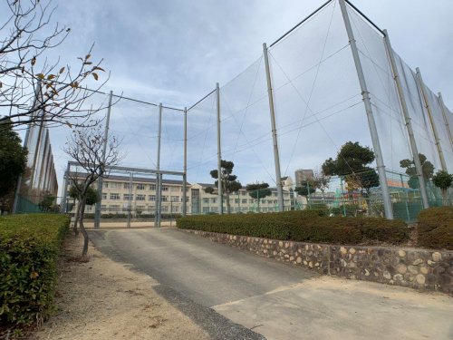 小学校　神戸市立竹の台小学校（小学校）まで233m