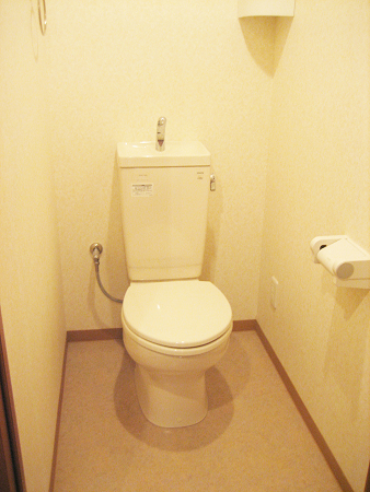 埼玉高速鉄道 鳩ケ谷駅 徒歩21分 3階建 築18年のトイレ写真