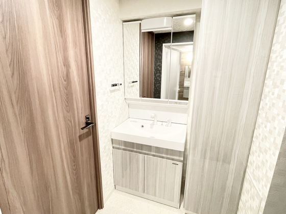 洗面設備　同仕様タイプ