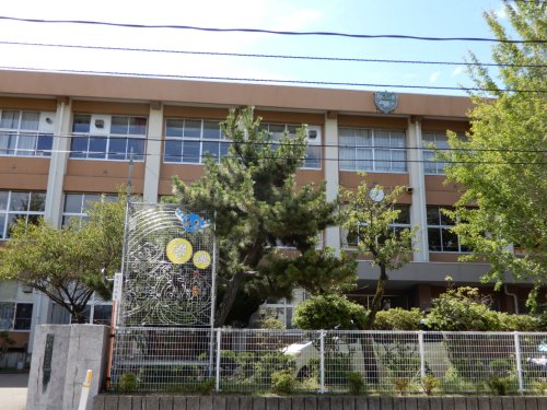 【秋田市土崎港西のマンションの小学校】