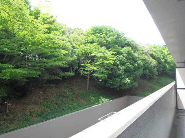 眺望　展望