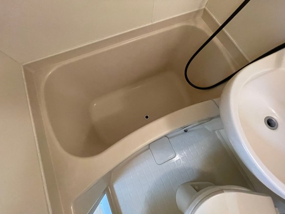 バス・シャワールーム　※別部屋の写真です