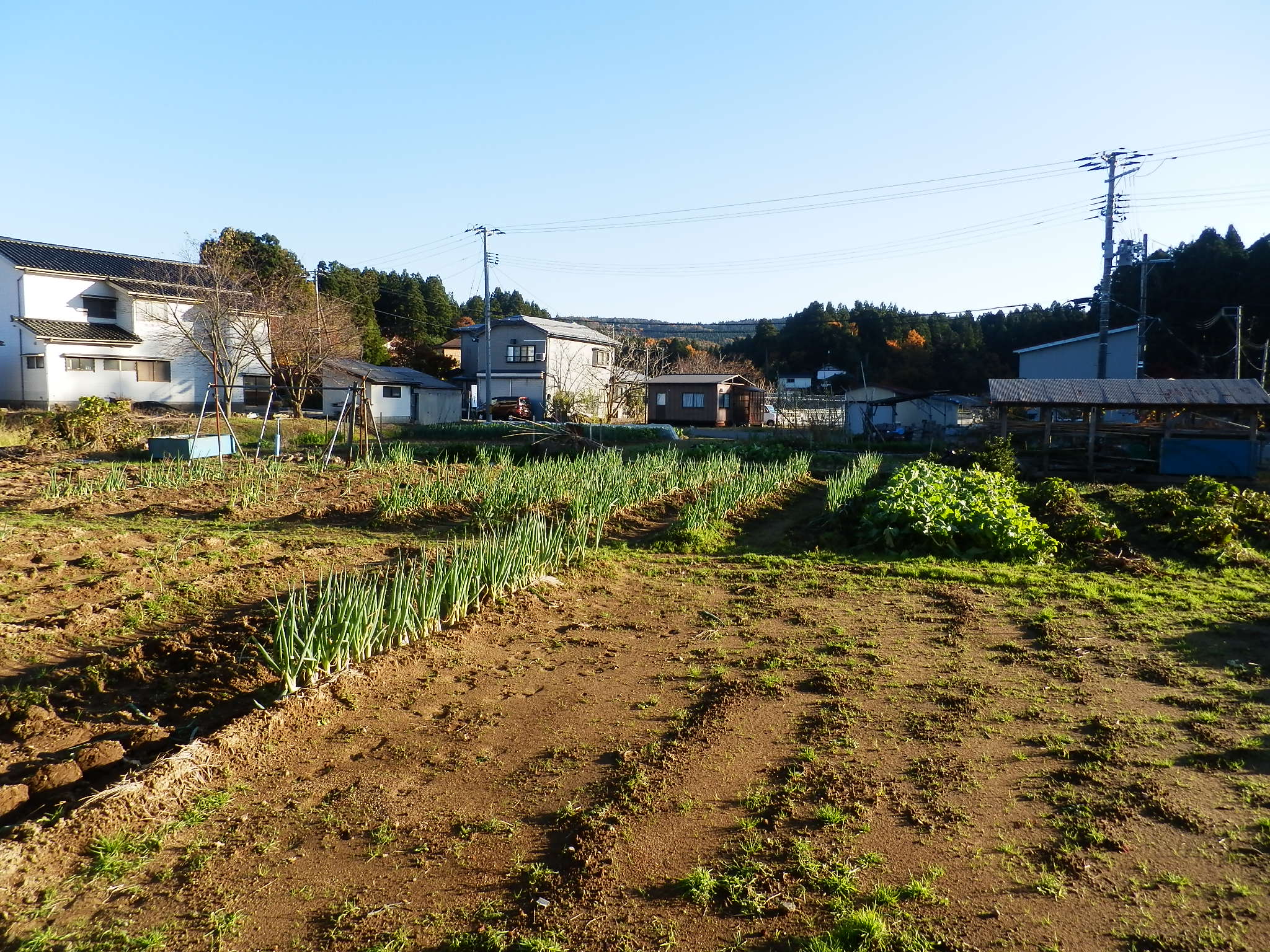 キャンパスタウン堀2_内装_7