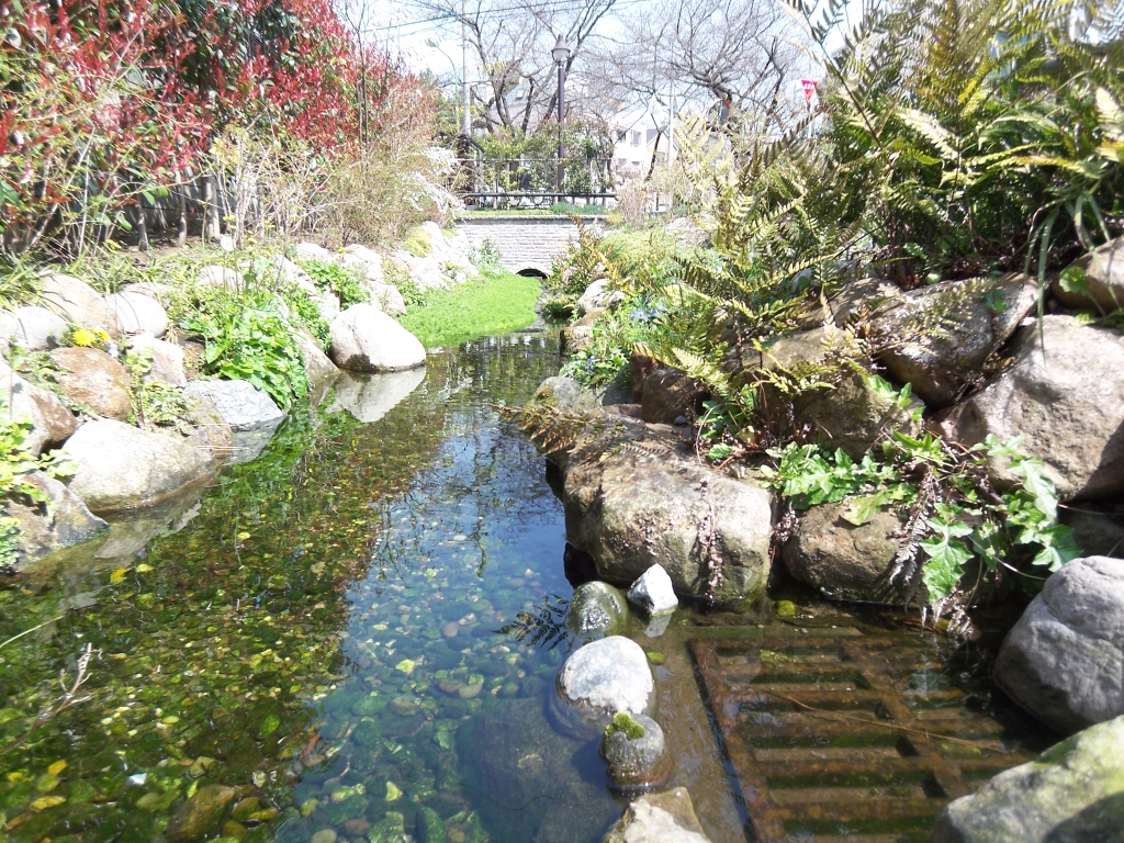 公園　北沢川緑道（公園）まで593m