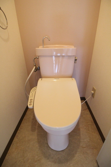トイレ　※他号室の写真です
