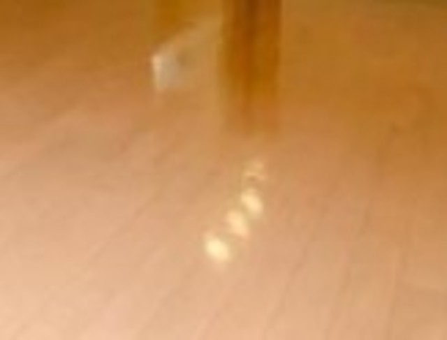 居室・リビング　【同仕様タイプ】