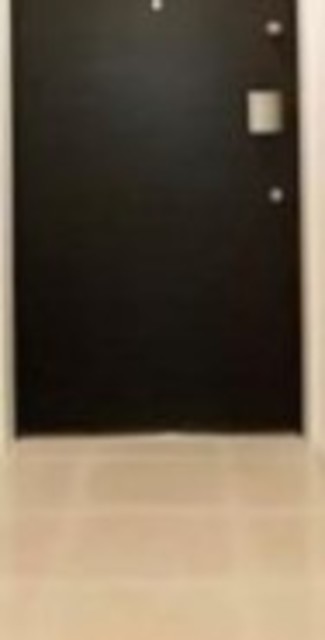 玄関　【同仕様タイプ】