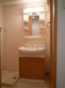 洗面設備　シャンプードレッサー※別号室参考画像