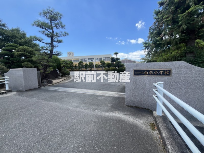 小学校　白石小学校（小学校）まで300m