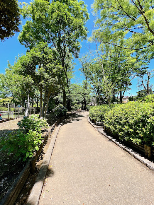 公園　世田谷区立駒沢緑泉公園（公園）まで220m
