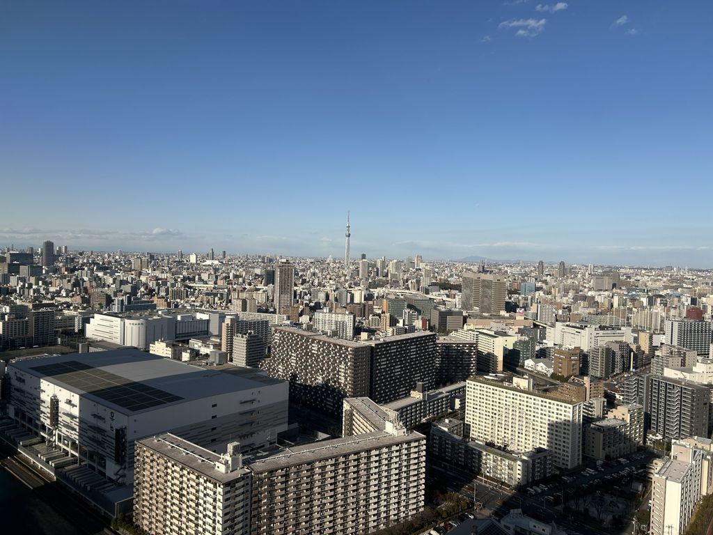 眺望　LDからの眺望/スカイツリーが見えます※天候による