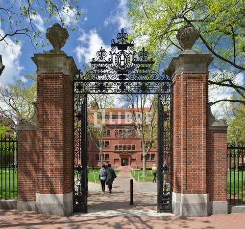 その他　国立一橋大学（その他）まで780m