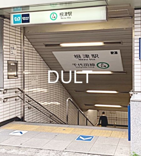 その他　根津（その他）まで818m