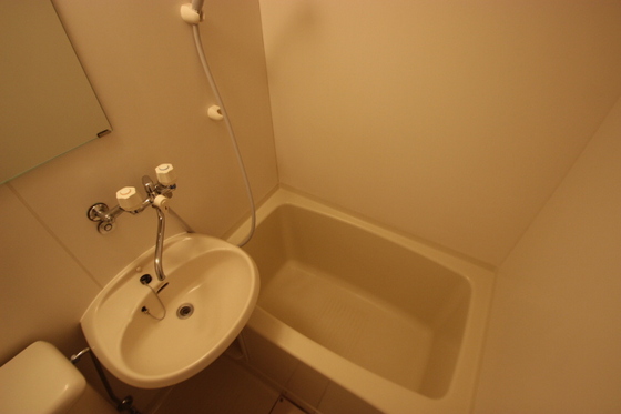 バス・シャワールーム　※別部屋の写真です