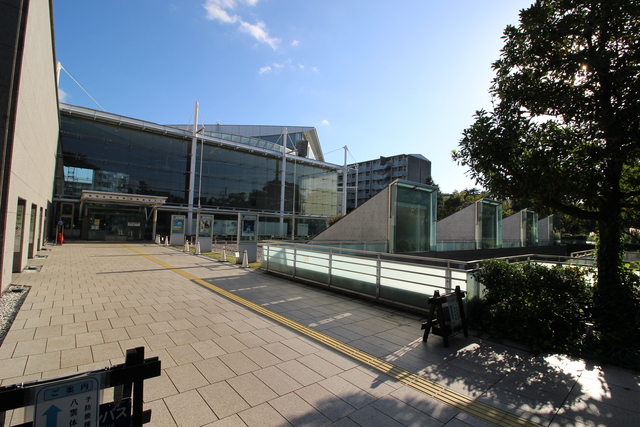 その他　八雲体育館（その他）まで1181m