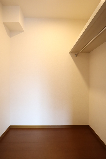 収納　ウォークインクローゼットになります