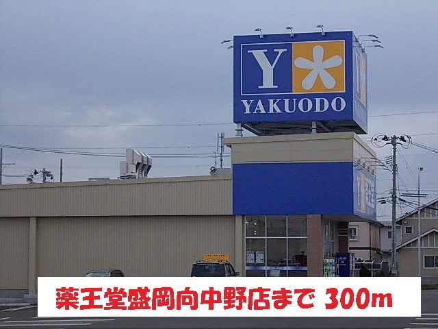 ドラックストア　薬王堂盛岡向中野店（ドラッグストア）まで300m
