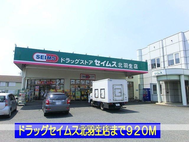 ドラックストア　ドラッグセイムス北羽生店（ドラッグストア）まで920m