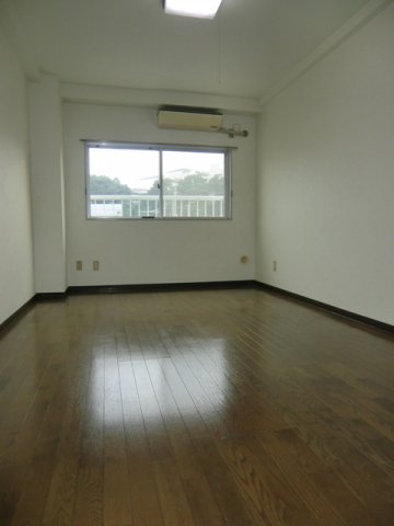 居室・リビング　スタンダードな洋室です