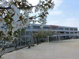 小学校　交野市立旭小学校（小学校）まで982m