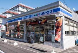 コンビニ　ローソン・スリーエフ奥沢八丁目店（コンビニ）まで245m