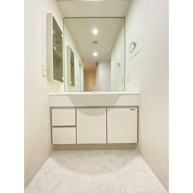 洗面設備　（別タイプ参考写真）RASIS-大山-山手通り　　板橋区大山