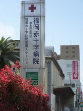病院　福岡赤十字病院（病院）まで215m