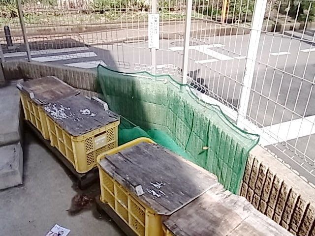 その他共有部分　★ゴミ置場★