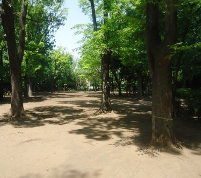 公園　中央緑地公園（公園）まで1038m