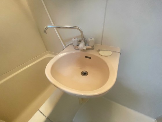 洗面設備　※別部屋の写真です