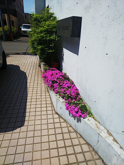その他共有部分　お庭でゆったりと過ごせます
