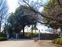 大学・短大　国際基督教大学（大学・短大）まで503m