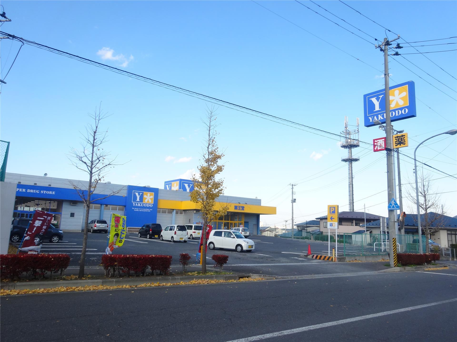 ドラックストア　薬王堂八戸長根店（ドラッグストア）まで520m