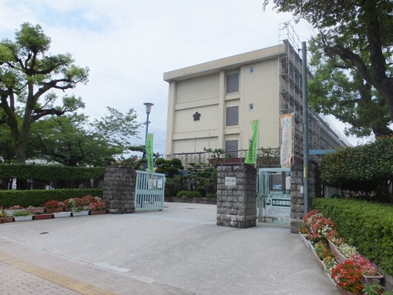 小学校　広島市立白島小学校（小学校）まで203m